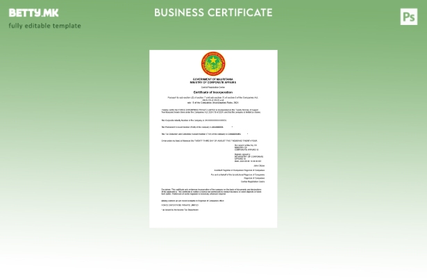 модерен стил Мавританија сертификат за регистрација на бизнис Шаблон за Word и P